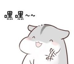 图片alt